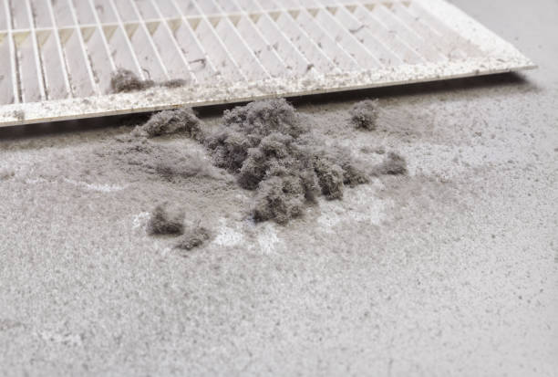 Best HVAC Maintenance and Cleaning  in Franklin, TX