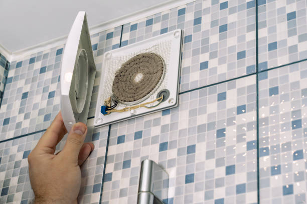 Best Dryer Vent Cleaning Services  in Franklin, TX
