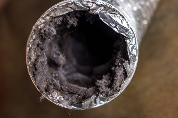 Best Residential Air Duct Cleaning  in Franklin, TX